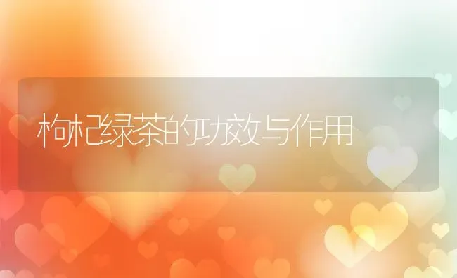 枸杞绿茶的功效与作用 | 养殖资料投稿