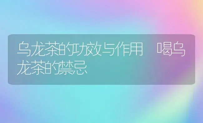 乌龙茶的功效与作用 喝乌龙茶的禁忌 | 养殖资料投稿