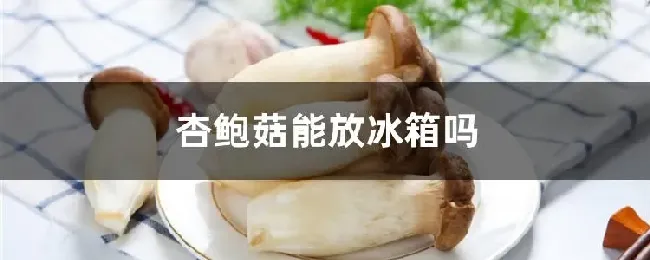 杏鲍菇能放冰箱吗