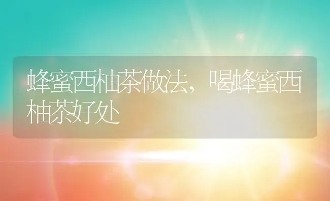 蜂蜜西柚茶做法,喝蜂蜜西柚茶好处 | 养殖资料投稿