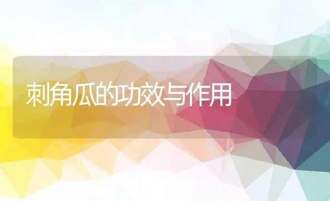 刺角瓜的功效与作用 | 养殖资料投稿