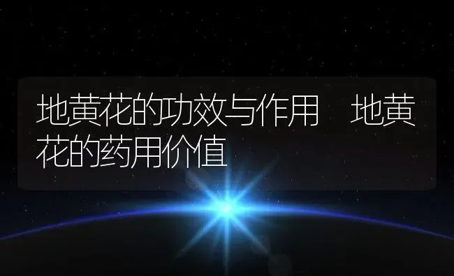 地黄花的功效与作用 地黄花的药用价值 | 养殖资料投稿