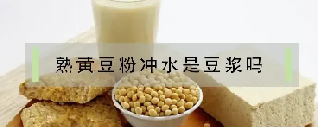 熟黄豆粉冲水是豆浆吗