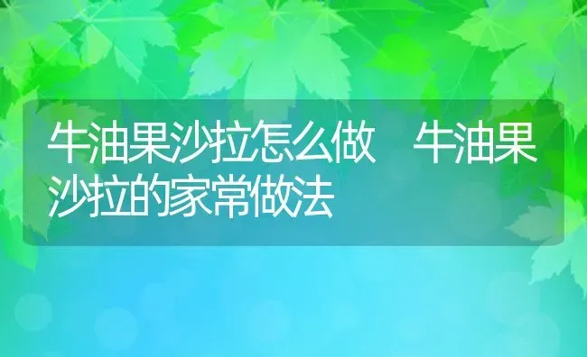 牛油果沙拉怎么做 牛油果沙拉的家常做法 | 养殖资料投稿