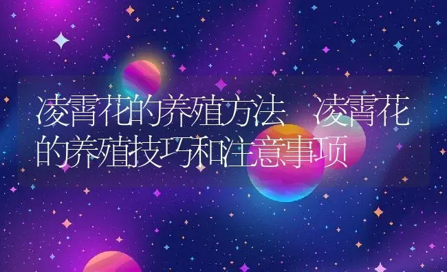 黄鳝汤怎么做好吃 | 养殖资料投稿