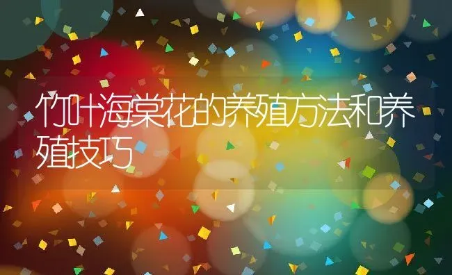 竹叶海棠花的养殖方法和养殖技巧 | 养殖资料投稿