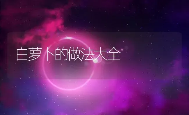 白萝卜的做法大全 | 养殖资料投稿