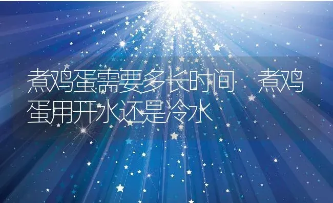 煮鸡蛋需要多长时间 煮鸡蛋用开水还是冷水 | 养殖资料投稿