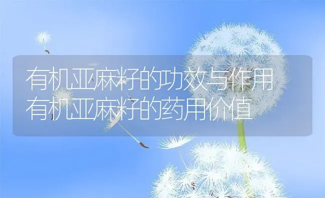 有机亚麻籽的功效与作用 有机亚麻籽的药用价值 | 养殖资料投稿