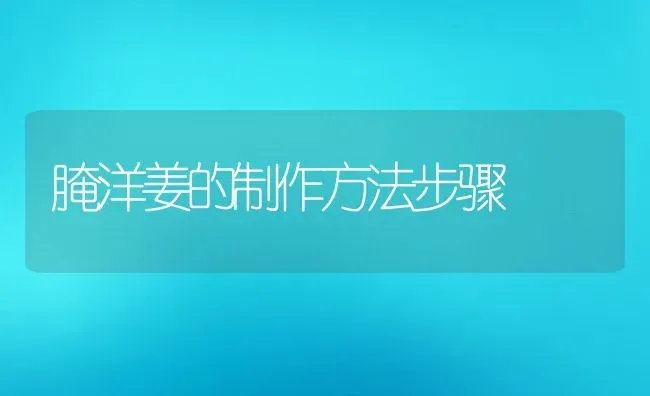 腌洋姜的制作方法步骤 | 养殖资料投稿