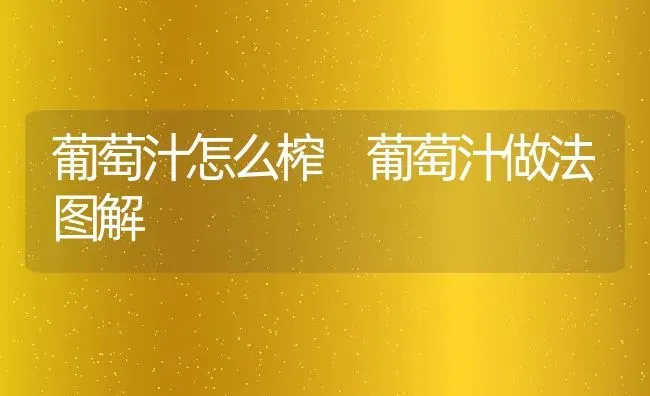 葡萄汁怎么榨 葡萄汁做法图解 | 养殖资料投稿