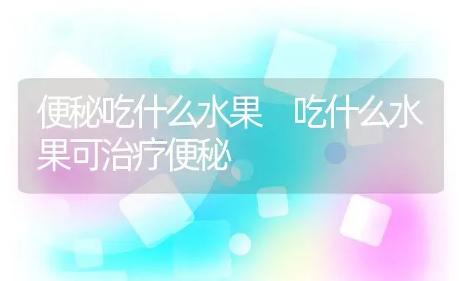 便秘吃什么水果 吃什么水果可治疗便秘 | 养殖资料投稿