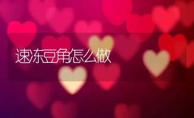 速冻豆角怎么做 | 养殖资料投稿