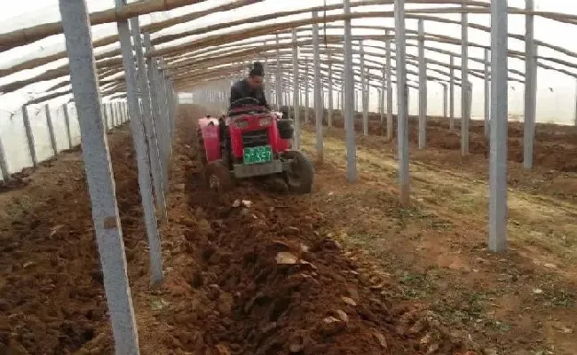 种菜|为什么种菜前要翻晒土（种菜之前为什么要进行翻土松土）