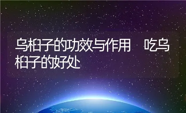 乌桕子的功效与作用 吃乌桕子的好处 | 养殖资料投稿