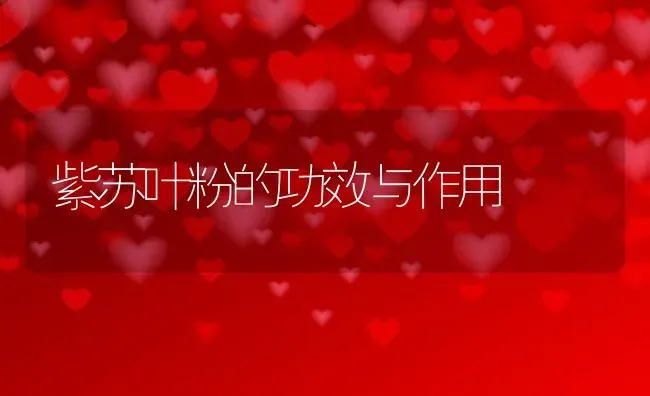 紫苏叶粉的功效与作用 | 养殖资料投稿