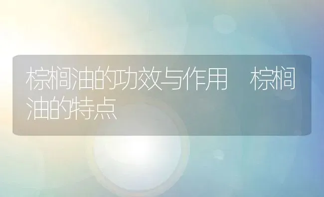 棕榈油的功效与作用 棕榈油的特点 | 养殖资料投稿