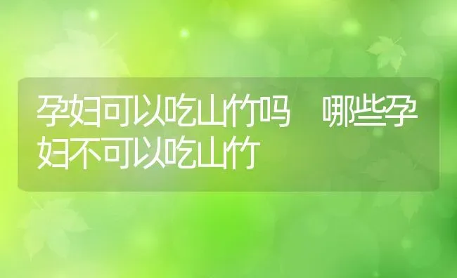 孕妇可以吃山竹吗 哪些孕妇不可以吃山竹 | 养殖资料投稿