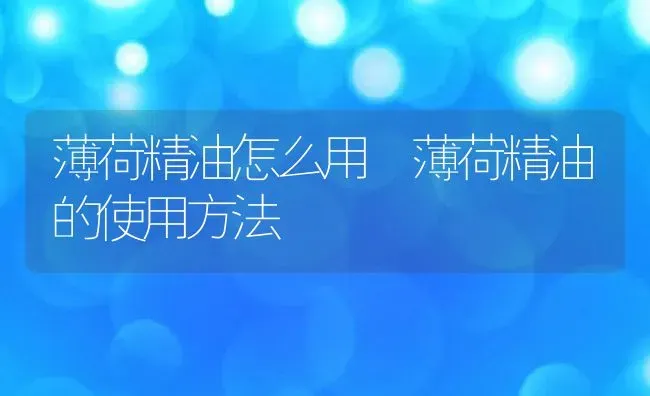 薄荷精油怎么用 薄荷精油的使用方法 | 养殖资料投稿