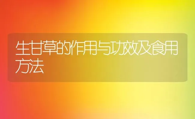 生甘草的作用与功效及食用方法 | 养殖资料投稿