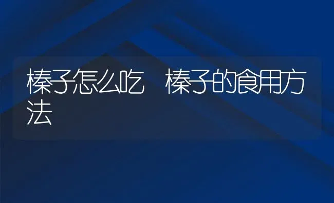 榛子怎么吃 榛子的食用方法 | 养殖资料投稿