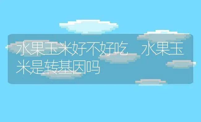 水果玉米好不好吃 水果玉米是转基因吗 | 养殖资料投稿
