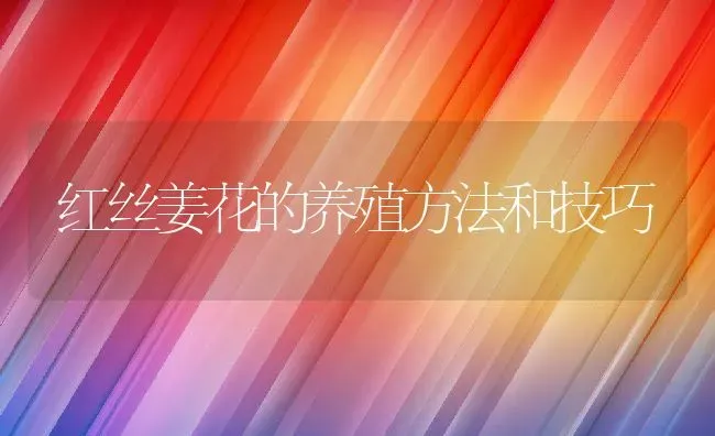 红丝姜花的养殖方法和技巧 | 养殖资料投稿