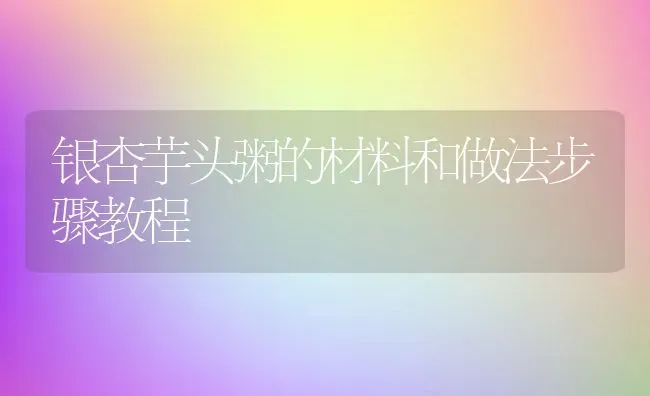 银杏芋头粥的材料和做法步骤教程 | 养殖资讯