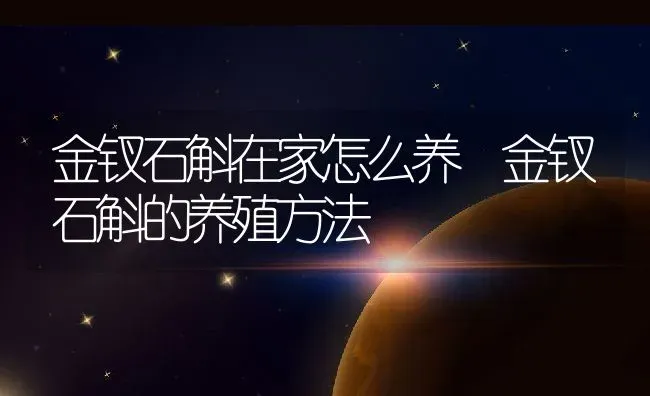 金钗石斛在家怎么养 金钗石斛的养殖方法 | 养殖资料投稿