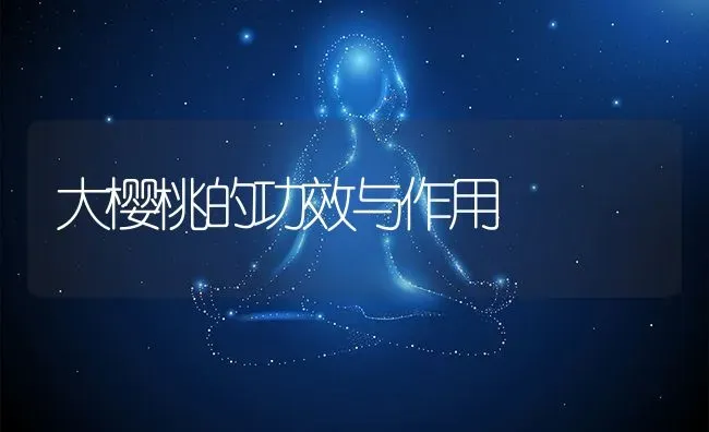 大樱桃的功效与作用 | 养殖资料投稿