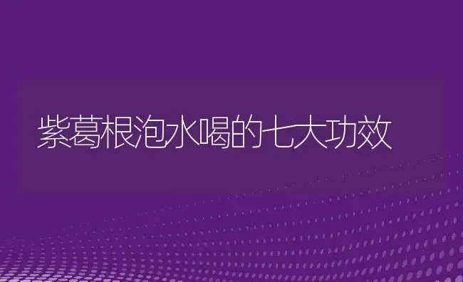 紫葛根泡水喝的七大功效 | 养殖资料投稿