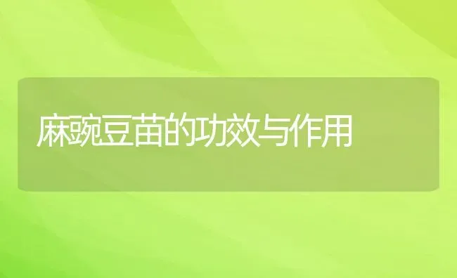 麻豌豆苗的功效与作用 | 养殖资料投稿