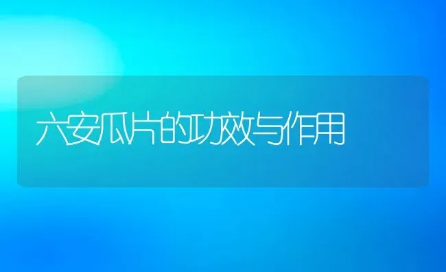 六安瓜片的功效与作用 | 养殖资料投稿