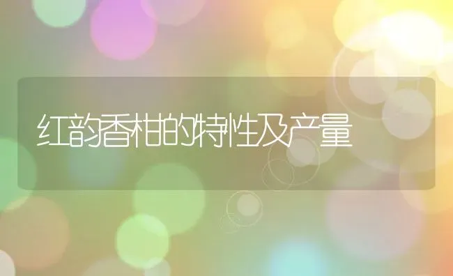 红韵香柑的特性及产量 | 养殖资讯