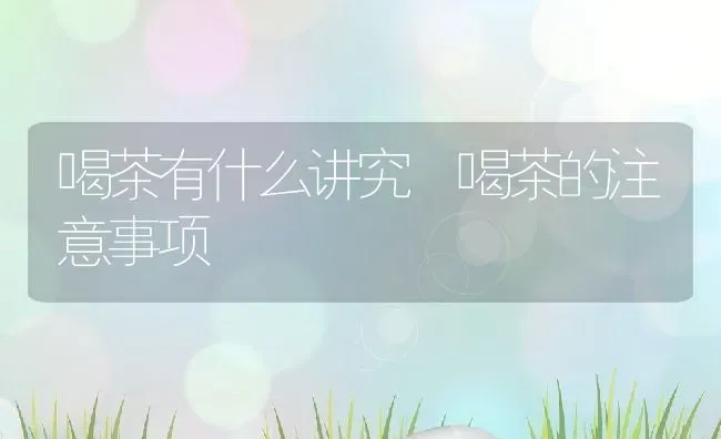 喝茶有什么讲究 喝茶的注意事项 | 养殖资料投稿