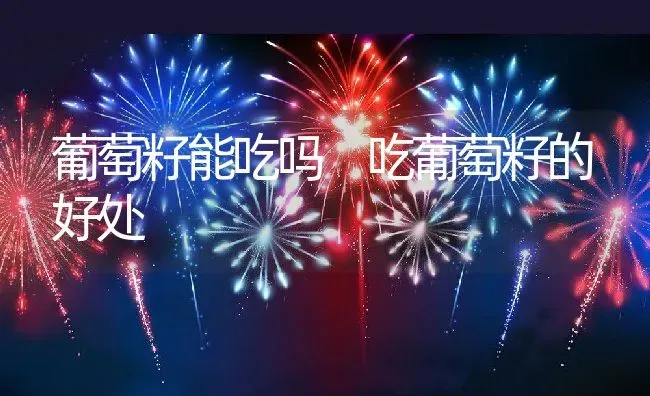 葡萄籽能吃吗 吃葡萄籽的好处 | 养殖资料投稿