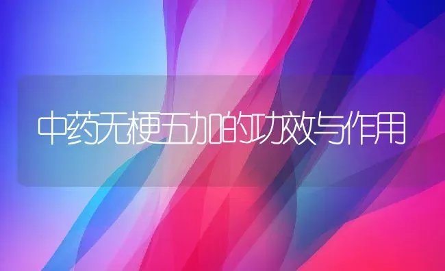 中药无梗五加的功效与作用 | 养殖资料投稿