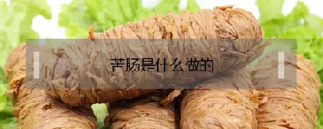 苦肠是什么做的？好吃吗