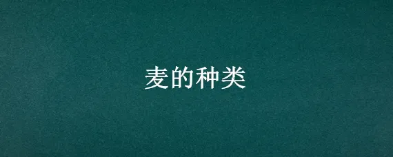 麦的种类