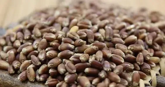 黑麦仁怎么煮粥 黑麦仁粥的做法教程
