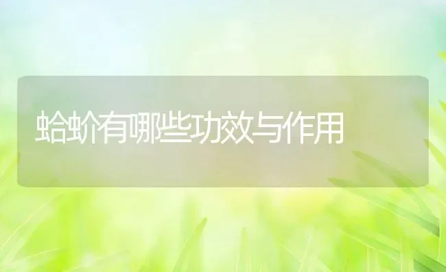 蛤蚧有哪些功效与作用 | 养殖资料投稿