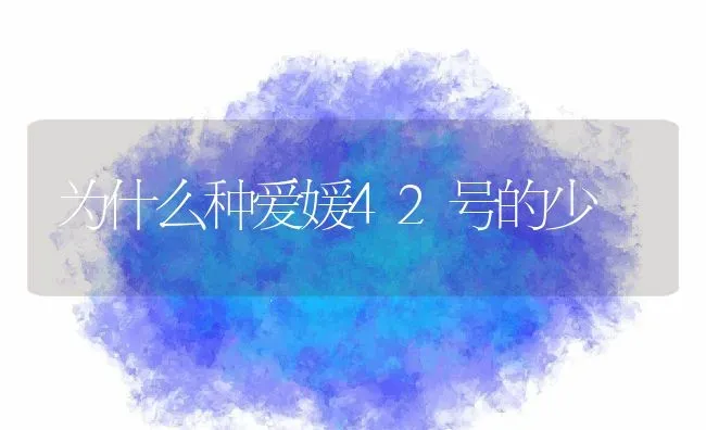 为什么种爱媛42号的少 | 养殖资讯