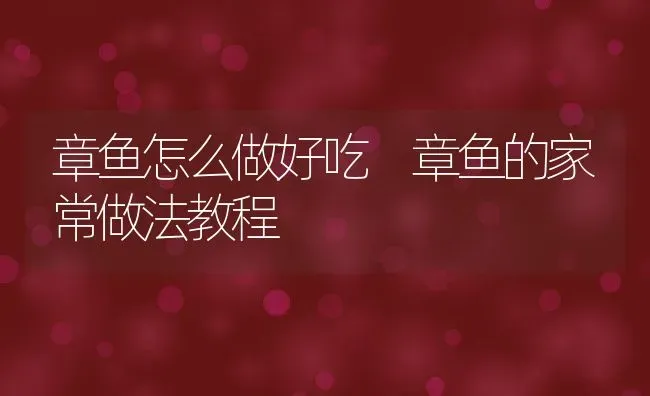 章鱼怎么做好吃 章鱼的家常做法教程 | 养殖资料投稿