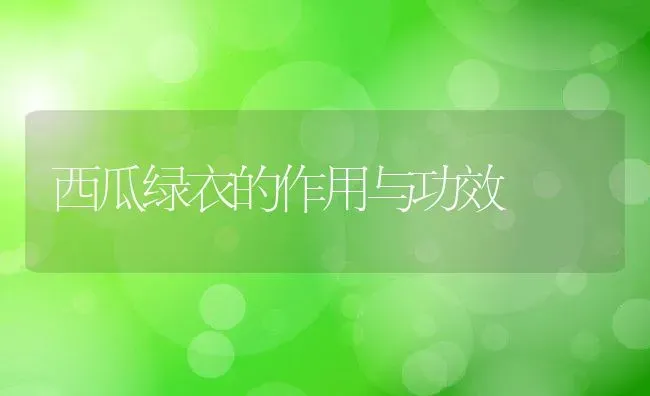 西瓜绿衣的作用与功效 | 养殖资料投稿