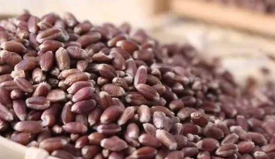 黑麦仁怎么煮粥 黑麦仁粥的做法教程