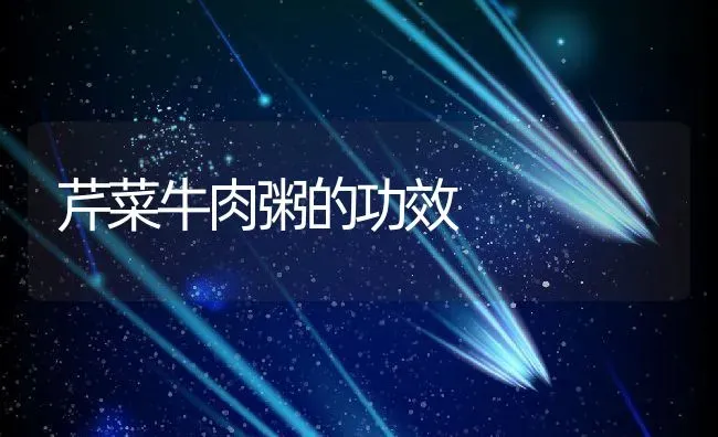 芹菜牛肉粥的功效 | 养殖资料投稿