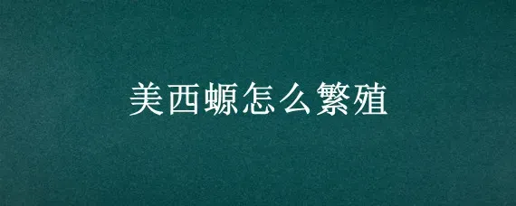 美西螈怎么繁殖