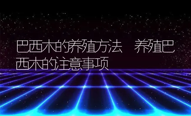 巴西木的养殖方法 养殖巴西木的注意事项 | 养殖资料投稿