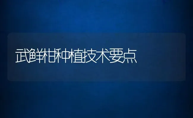 武鲜柑种植技术要点 | 养殖资讯