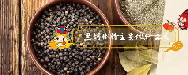 黑胡椒粉主要做什么菜